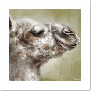 Portrait of a Smug Looking Camel on Sepia Background Posters and Art